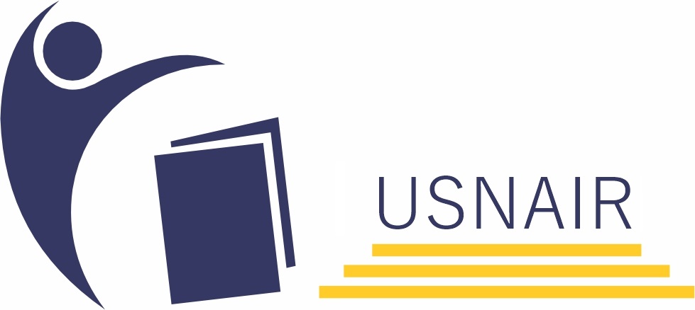 USNAIR logo